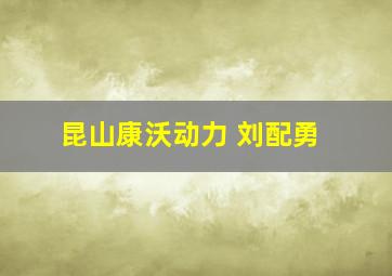 昆山康沃动力 刘配勇